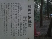 ���Ƃ��񂳂�̍��|�_�Ђ̓��e�ʐ^4