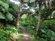 �˂�����̓V�֕@�̓��e�ʐ^5