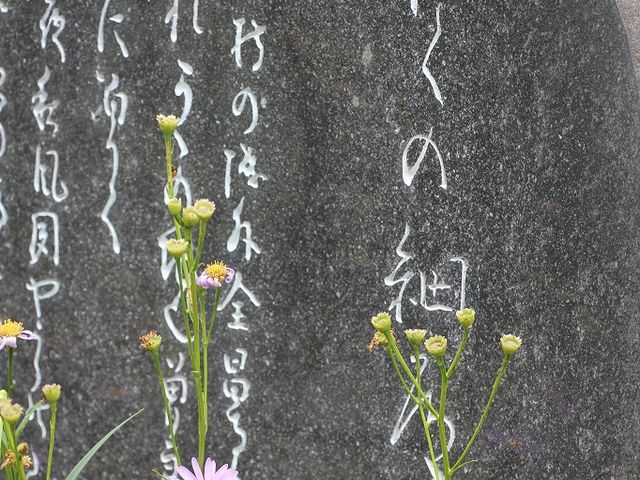 �w���̍ד��x�̔�ł��B_�S����