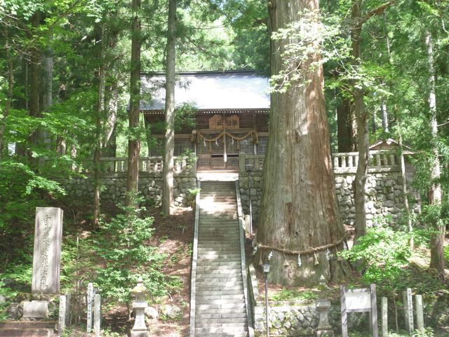 ^{剤̐؋vېzK_Ђ̓eʐ^1