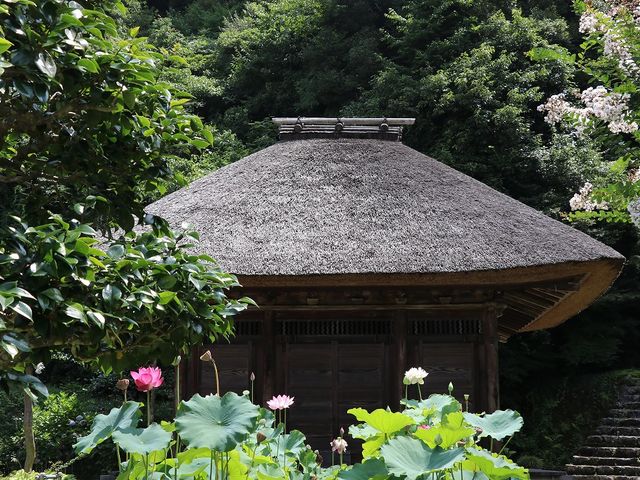 岐阜県百寺 大仙寺