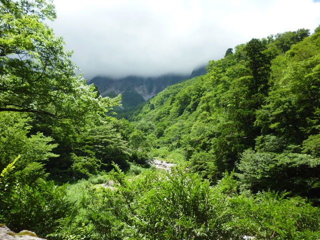 �ΐς݂������܂����B_�΂̉͌�