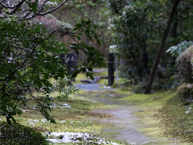 ��ɍ~��邱�Ƃ��ł��܂��B_���S���j�t�@