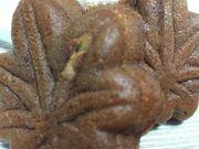 񂯂񂳂̂܂@̃t@Ng[̓eʐ^1