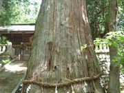 ^{剤̐؋vېzK_Ђ̓eʐ^1