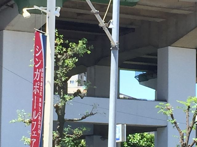 }񂳂̃CzXg̗X̓eʐ^1