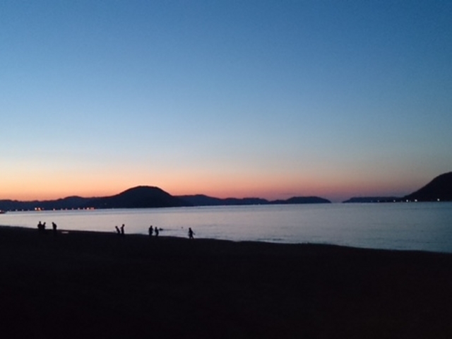 ���̕l_���Øp�i���̕l�j