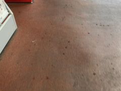 ��₳��̓��}���c�J���O�������w�ւ̓��e�ʐ^1