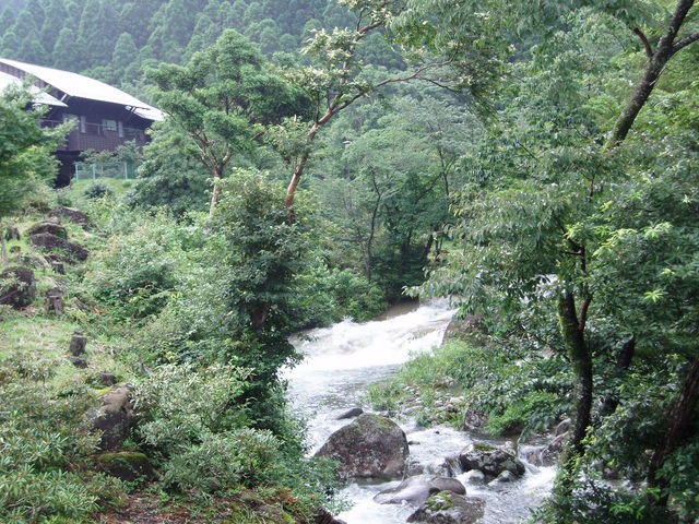 ႭȂ̑猩鎬_pFR@ႭȂ