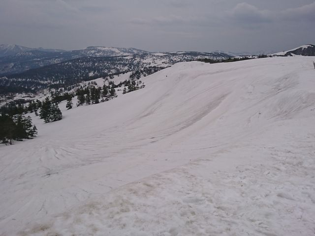 �R���t��_������