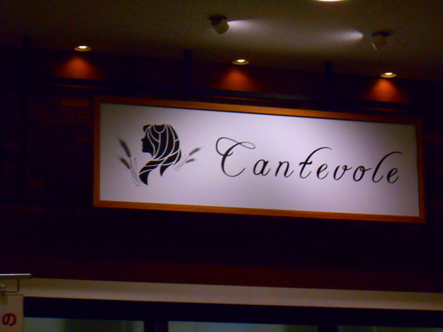 X}C̃Je{[ aSRX̓eʐ^1