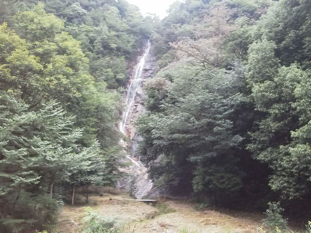 ȎpĂꂽłBp̃KP[ŎB܂B_w̑