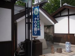 EFKEÎȂĒʂւ̓eʐ^1