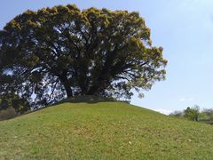 江田船山古墳 アクセス 営業時間 料金情報 じゃらんnet