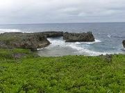 ���i����̐��C�݌����̓��e�ʐ^1