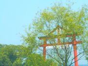 X}C̖kCiߍ]Hj̓eʐ^1