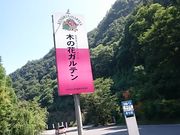 ܂܂̖؂̉ԃKêXg̓eʐ^1