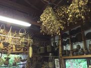 񂱂̈ʎВc@lŗtό̓eʐ^3