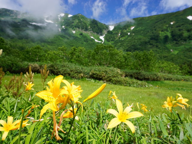 �j�b�R�E�L�X�Q���Y��ł����B_�̒r����