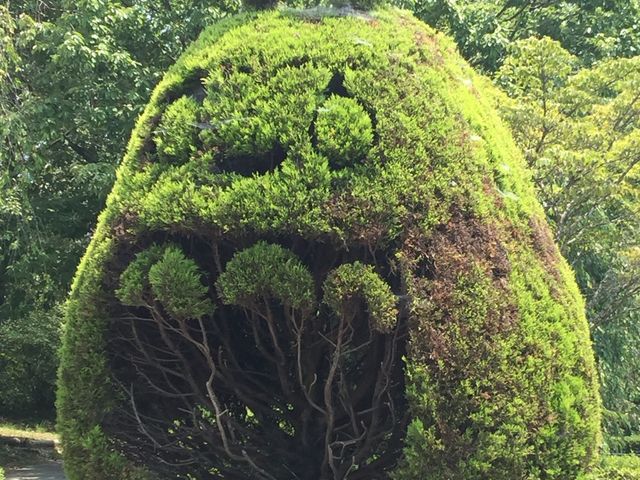 �g�g�����w偂̑����炯�c_������܃t�@�[�}�[�Y�E�}�[�P�b�g�@�m�[�X���B���b�W