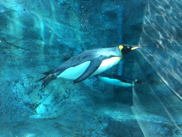 �y���M������������_���R������