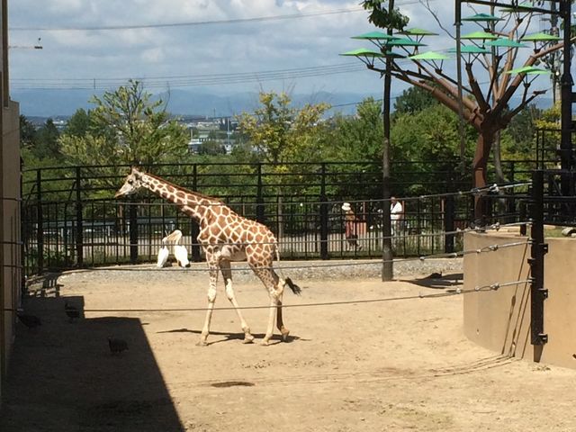 �L���������܂���_���R������