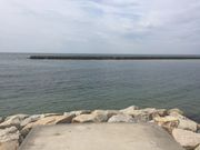 �Ƃ����񂳂�̍]��C������̓��e�ʐ^2