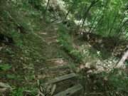 �r233�n����̔��m���̑�̓��e�ʐ^4