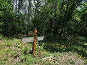 �r233�n����̔��m���̑�̓��e�ʐ^5