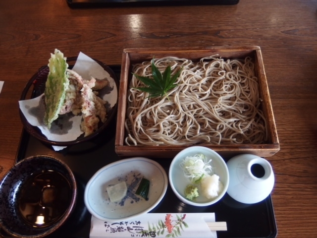 artneko̖hc ȂȂ܂ǒ̓eʐ^5