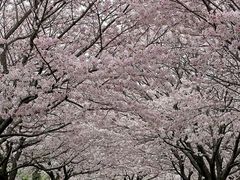 JOÊxEV̐Xւ̓eʐ^1