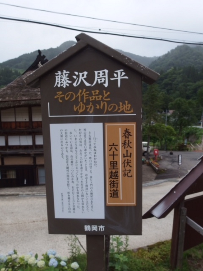 91DN4SqxsuL._UF350,350_QL50_.jpg