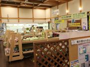 Ƃ񂳂̗̊܂nEX̓eʐ^1