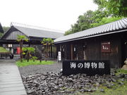 񂳂̒Hs C̔ق̓eʐ^2