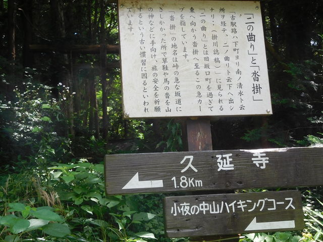 ����̒��R