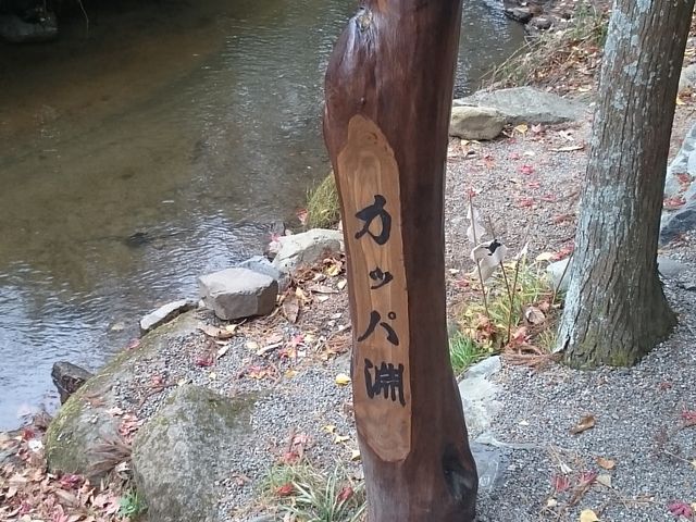 �͓���_�J�b�p��