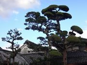 Yanwenli̍щƏZ̓eʐ^1