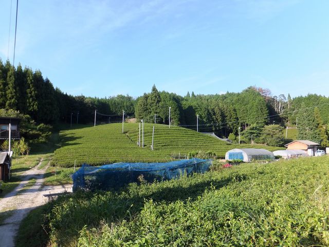 R̂߂ɒƃu[x[LĂ܂B__Ɩh@[R