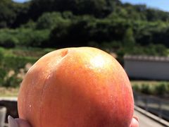 񂳂̃^Pό_ւ̓eʐ^1