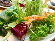 ߂̂VILLAZZA due Bbc@ hDG̓eʐ^2