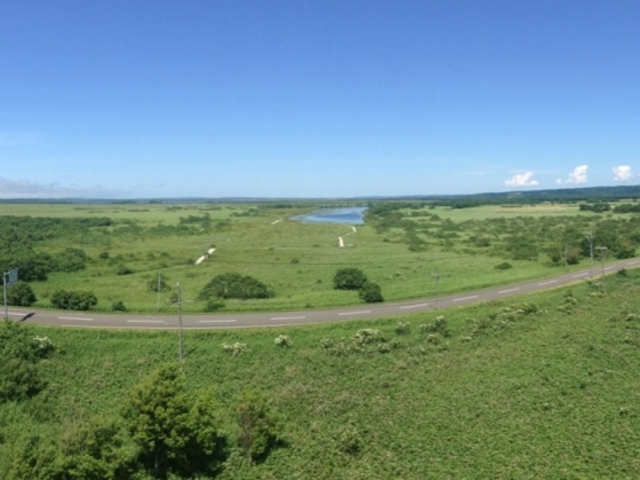 �W�]�䂩��̒��߁i2017.7�j_�T���x�c����