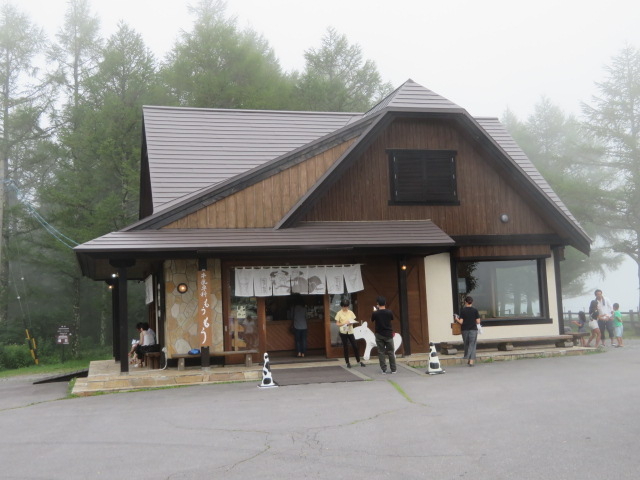 ���������̌����ł�_���ȑ��q��