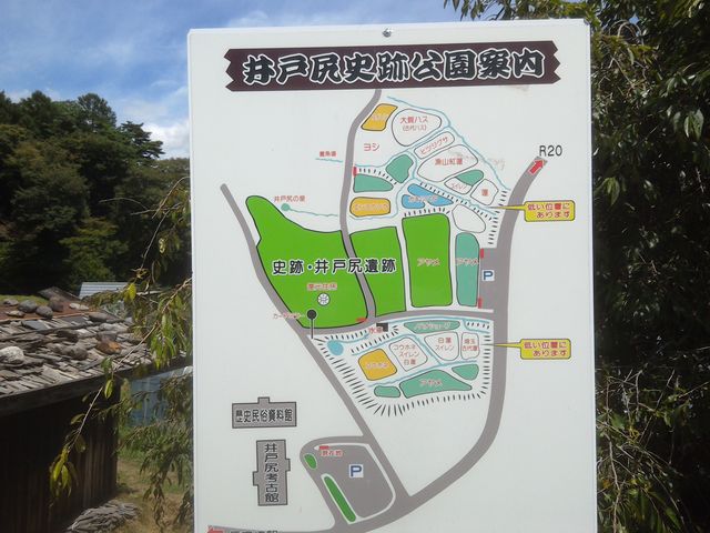 �����S�̂̈ē��Ŕ�_��ːK���