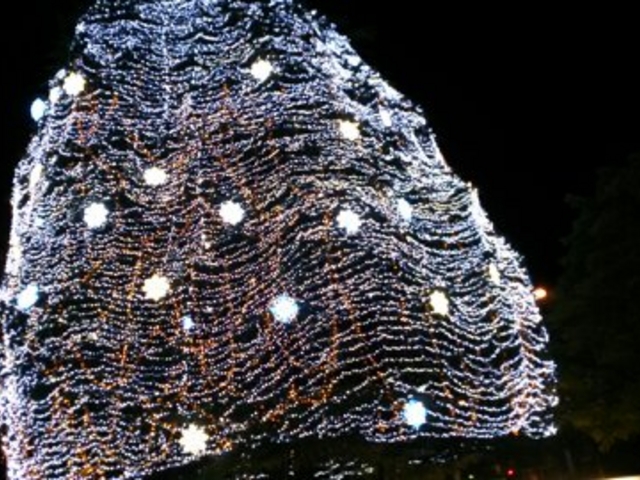 ���������_���������