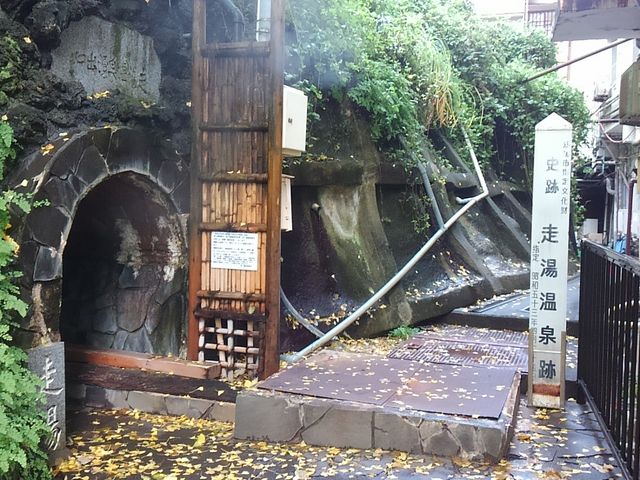 �����̗l�q_���蓒