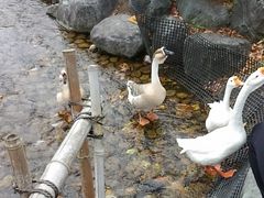 ۂ񑾂̃~[gH[ւ̓eʐ^1