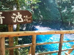 񂭂ɂ̐rւ̓eʐ^1