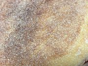 񂯂񂳂̃}Nhih QX̓eʐ^1