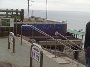 Ђ낳̉zOOECD̓eʐ^2