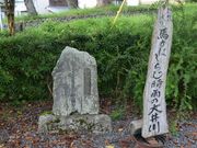 ����������񂳂�̔m�Ԃ̋��̓��e�ʐ^3